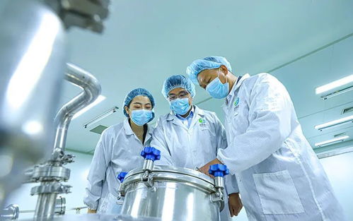 科技賦能張掖農特產品提質增效，植物工廠引領農業現代化